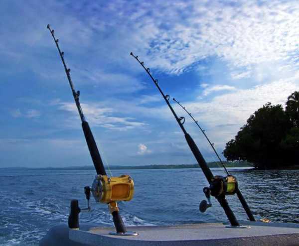 Самоподсекающая удочка для летней рыбалки: устройство, как ловить, отзывы
