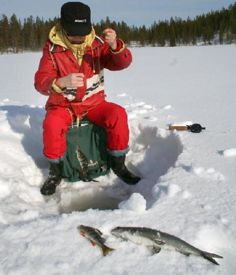 Зимняя рыбалка на окуня: секреты