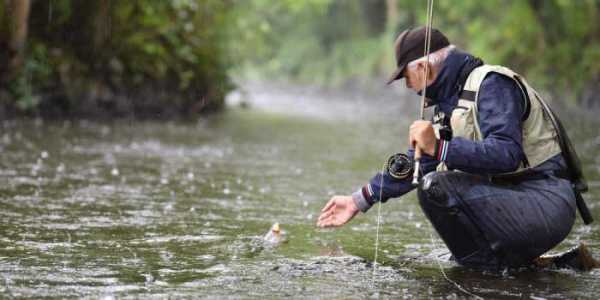 Клюет ли рыба в дождь: особенности рыбалки, приметы
