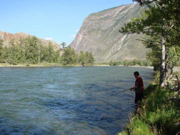 Отдых и рыбалка в Горном Алтае. Особенности рыбалки в озерах и реках Алтая