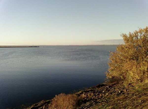 Веселовское водохранилище (Ростовская область). Зимняя рыбалка на Веселовском водохранилище