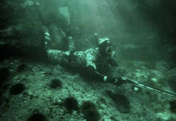 Подводная охота на щуку - особенности, правила и отзывы
