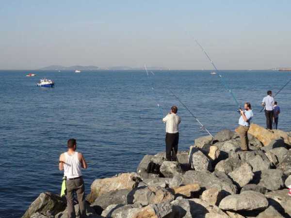 Рыбалка в Турции: где и на что ловить? Какая рыба ловится в Турции