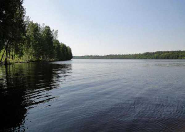 Правдинское озеро: описание, рыбалка, фото