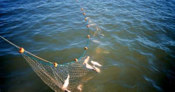 Как ставить сеть: советы опытных рыболовов