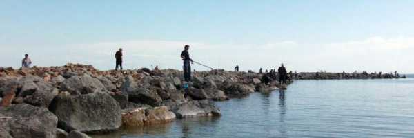 Рыбалка в Ейске и Ейском районе: особенности, популярные места и рекомендации