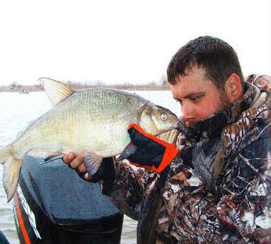 Большая рыбалка в Краснодаре: платные базы отдыха