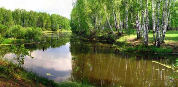 Платная рыбалка: Юсупово (Домодедовский район)