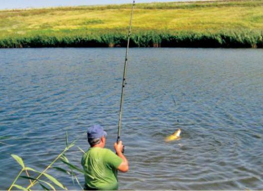 Рыбалка в Молдове. Рыбалка на реке Днестр. Реки и озера Молдовы