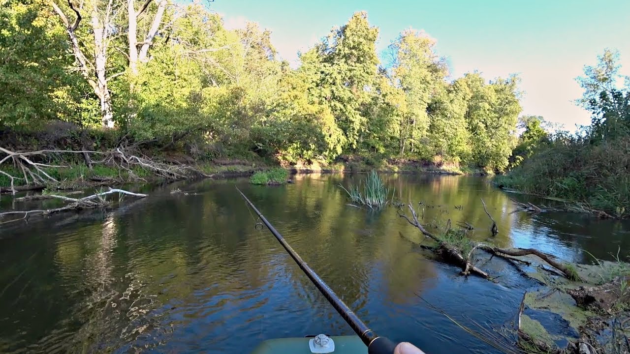 Воблер или Джиг?! Рыбалка на спиннинг на закоряженной речке.