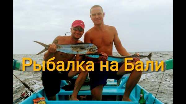 Рыбалка на Бали: описание, особенности, фото и отзывы
