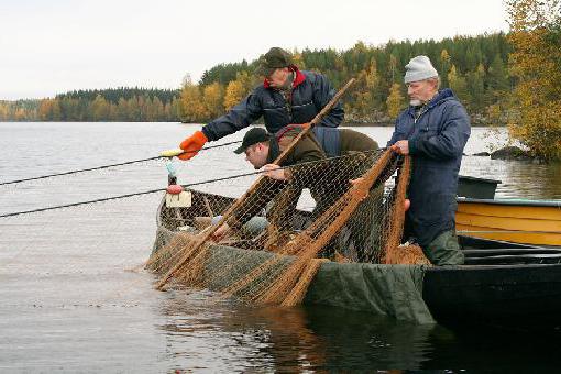 Бредень - это сеть для ловли рыбы