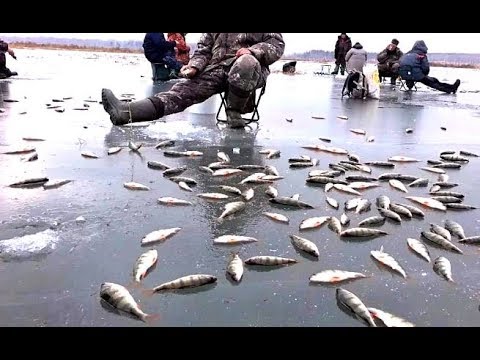 Зимняя рыбалка в Нягани: фото и отзывы