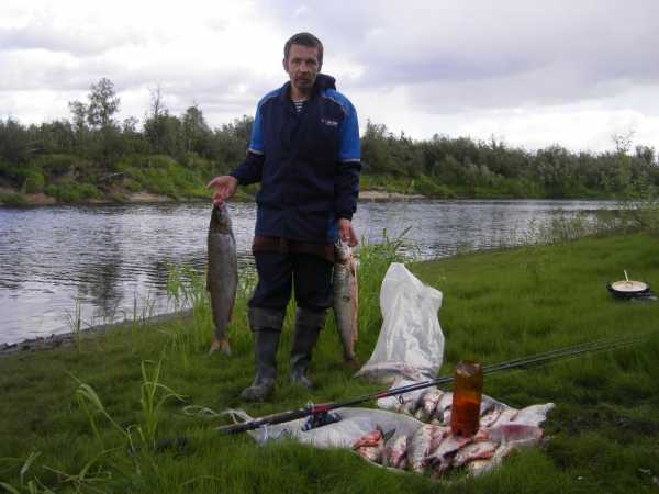 Рыбалка в Сыктывкаре: рыбные места, прогноз улова, советы