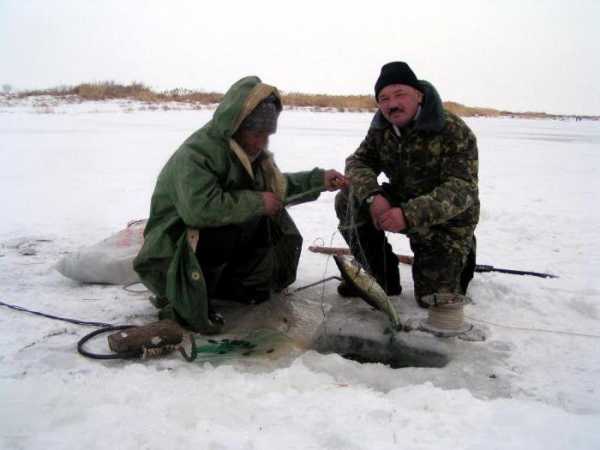 В Ростове-на-Дону рыбалка: наиболее благоприятные сезоны