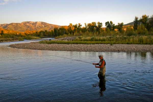 Рыбалка на Десне: особенности, интересные факты и отзывы