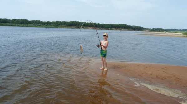 Рыбалка в Муроме: особенности