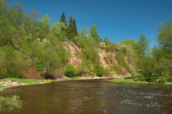Река Тосна: расположение, описание, рыбалка