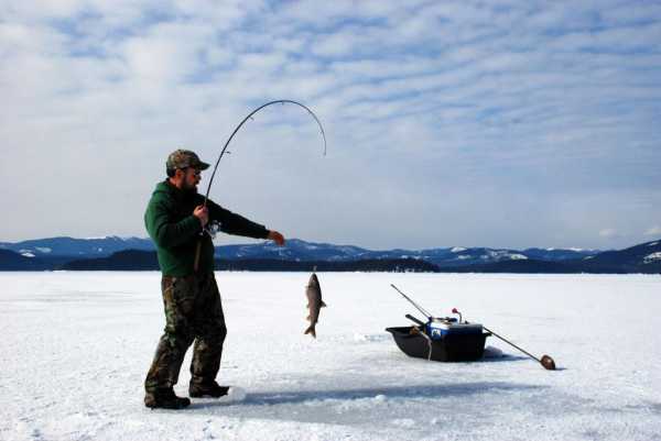 Рыбалка в Томской области: обзор рыбных мест, отзывы