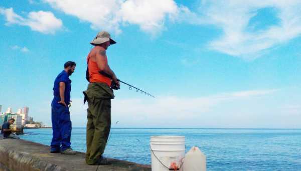 Рыбалка на Кубе: особенности, интересные факты и отзывы