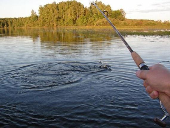Озеро Мыркай: описание, рыбалка и охота
