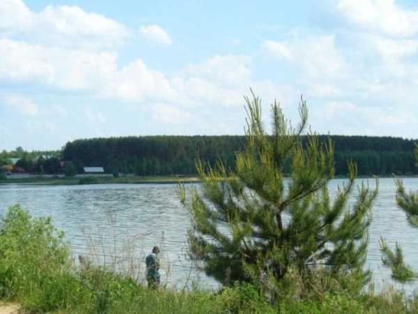 Платная рыбалка в Нижегородской области: места клёва и большого улова