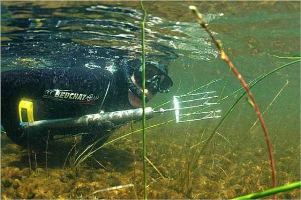 Подводная охота в Ленинградской области: лучшие места
