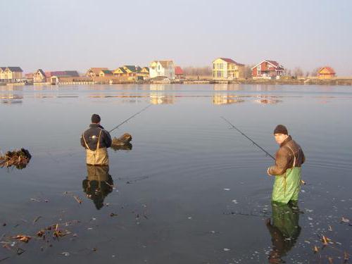 Рыбалка на Днестре: лучшие места