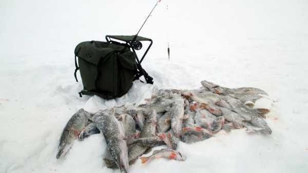 Зимняя рыбалка на Ямале: особенности