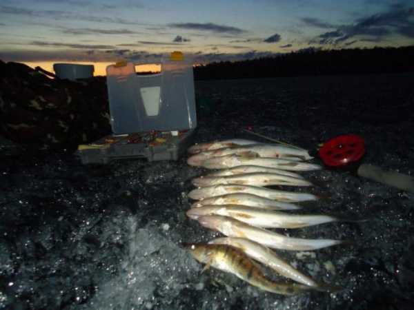 Рыбалка на Нязепетровском водохранилище