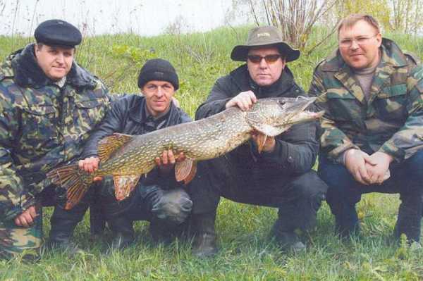 Рыбалка в Липецке и области: особенности, рекомендации и отзывы