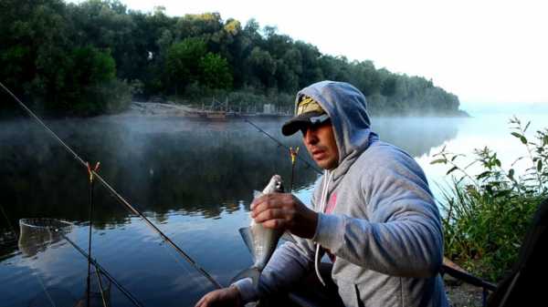 Рыбалка на Десне: особенности, интересные факты и отзывы