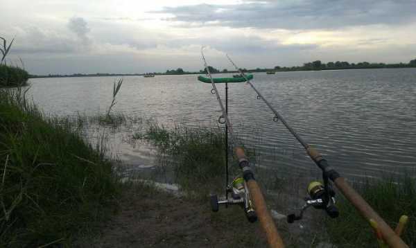 Рыбалка в Рогожкино (Ростовская область): прогноз клева, погода, отзывы