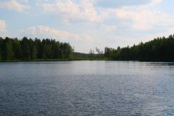 Любимовское озеро богато на щуку