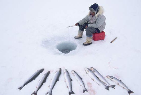 Зимняя рыбалка в Карелии: особенности ловли