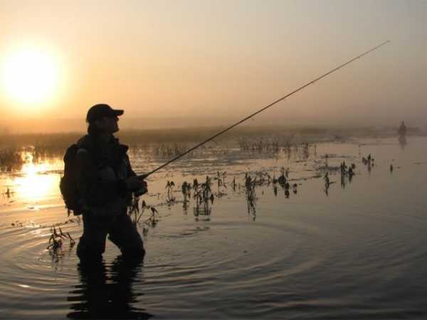 Ловля язя на спиннинг: выбор спиннинга, необходимые рыболовные снасти, лучшие приманки, особенности и техника ловли, советы рыбаков