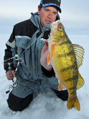 Зимняя рыбалка по первому льду: описание, особенности и рекомендации