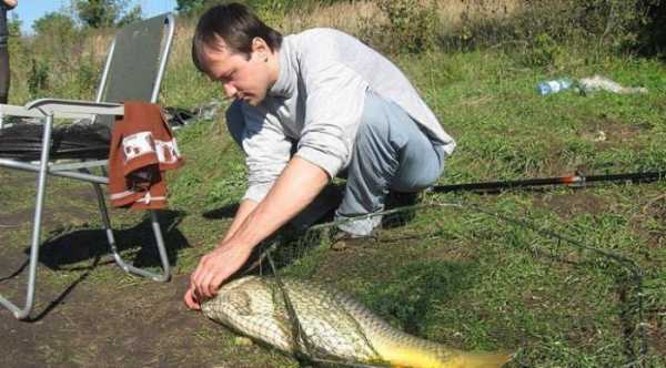 Рыбалка в Кузькино, Белгородская область: отзывы