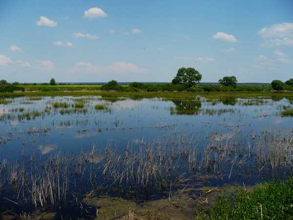 Озеро Долгое в Челябинской области – архелогический памятник природы