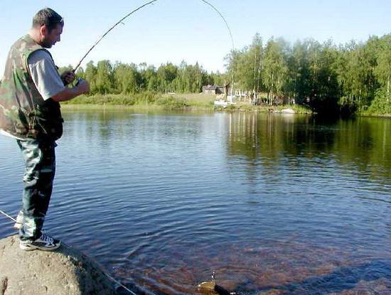 "Озерное" охотхозяйство, Калужская область: как добраться, описание, условия проживания