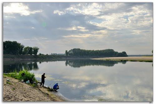 Клев рыбы в Волгоградской области. Рыбалка в Волгограде