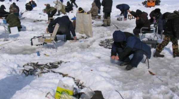 Ловля корюшки зимой: особенности, способы и интересные факты