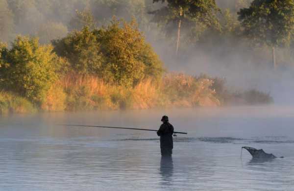 Рыбалка на Северной Двине - особенности, интересные факты и отзывы