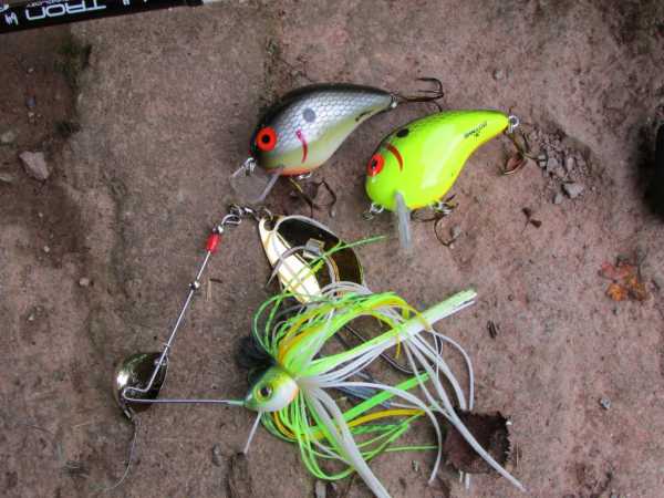 Ловля щуки на спиннинг: особенности и секреты рыбалки