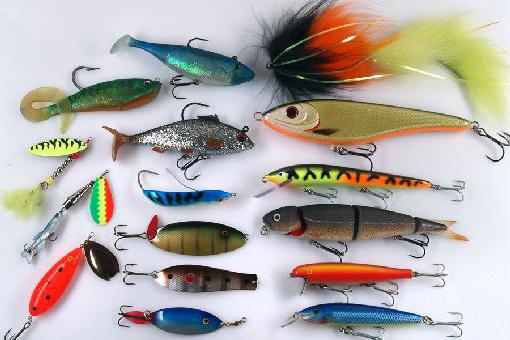 Воблеры "Джексон" - разнообразие моделей для рыбалки на щуку
