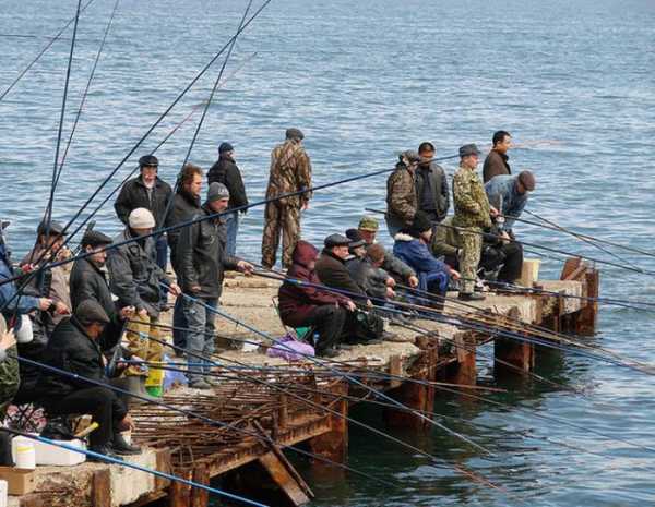 Калужская рыбалка. Рыбалка в Калужской области