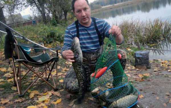 Рыбалка в Лыткино (Солнечногорский район Московской области): как доехать, нормы вылова