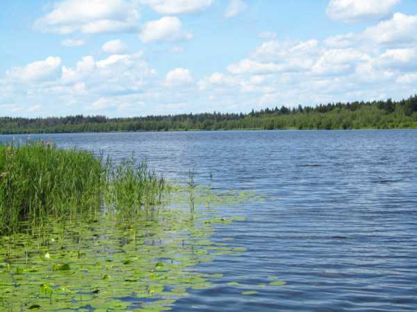 Озеро Долгое в Челябинской области – архелогический памятник природы