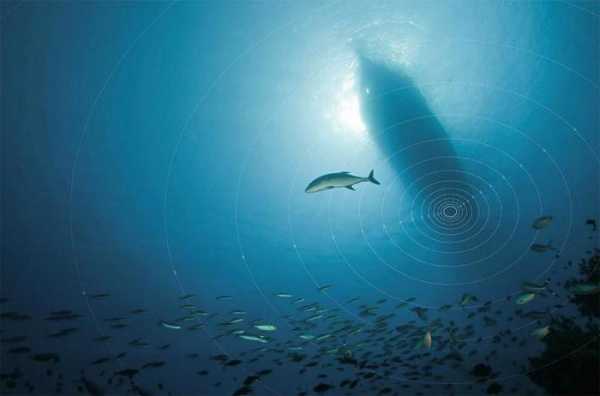 Подводный эхолот: обзор, характеристики. Рыболовные эхолоты
