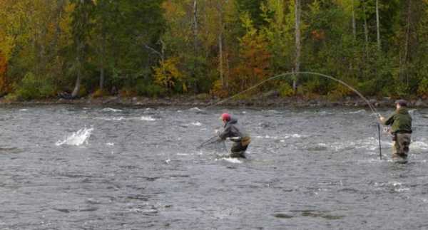 Рыбалка в Нижневартовске: лучшие места. Реки и озера Нижневартовска